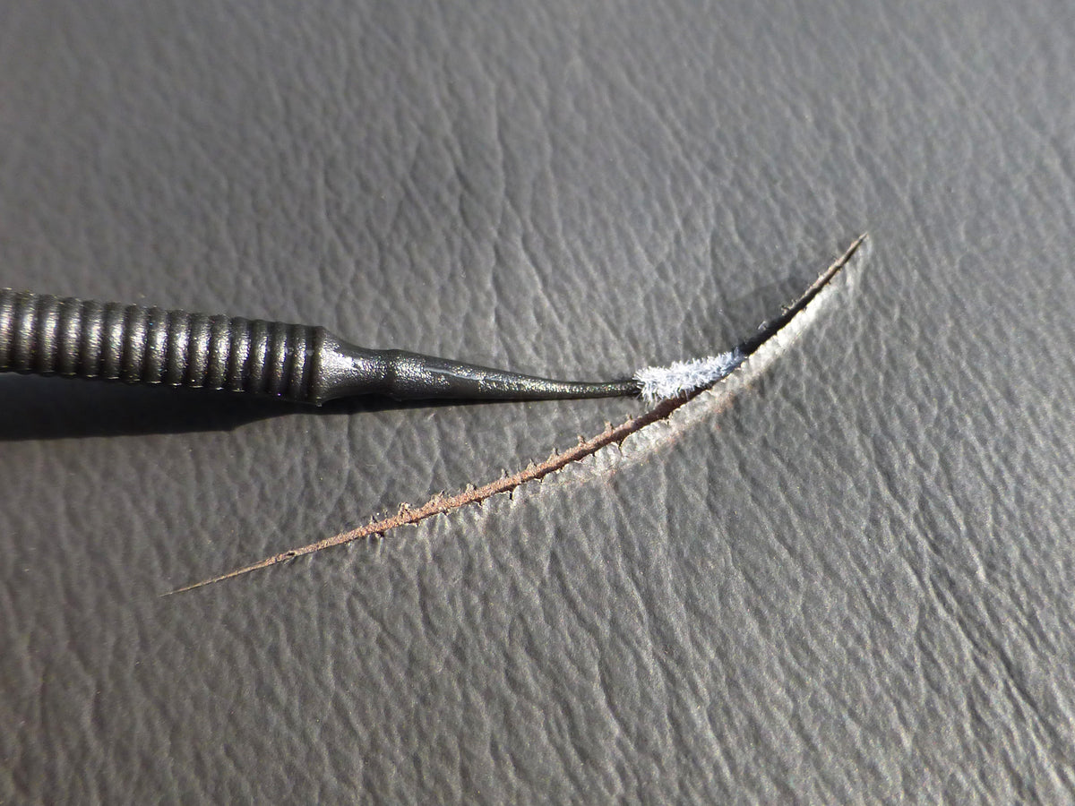 Mini Brushes, set of 10