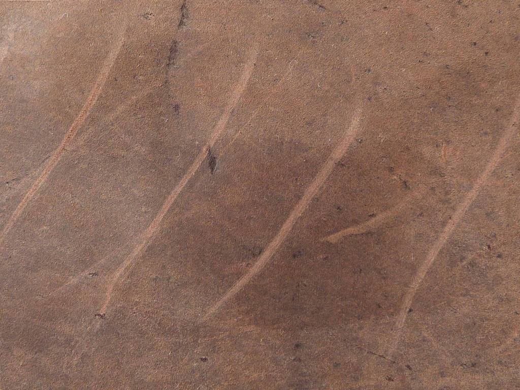 Waxed, Oiled or Pull Up Leather Cleaning and Care Kit